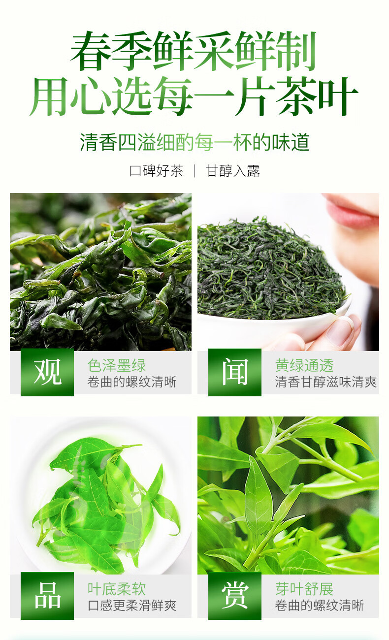 Small Leaf Kuding Tea Ku Ding Cha Premium Pre-Qingming Tender Buds Loose Herbal Tea 40g Canister specifications