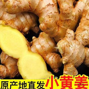 ���С�S�������r�����Ͻ��F�ڸ�ɽɳ�����۽��������߲�