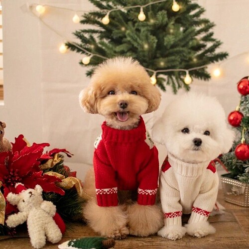 Autumn and winter small dogs festive New Year sweaters small and medium-sized dogs warm sweaters Christmas cat clothes