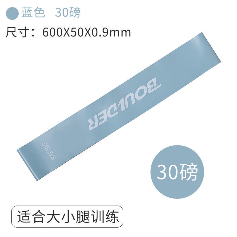 뉴 블루 30파운드(허벅지 트레이닝)