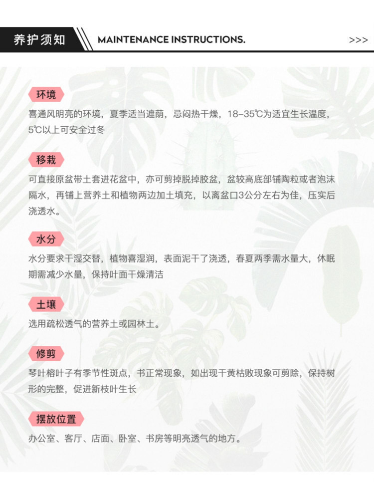 详情图