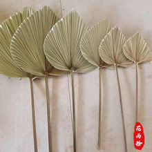 ԭɫ���ȸɻ���Ȼ�ؙ��~�ɻ�diy�Ҿ��b����F���~ܛ�b�ɻ�