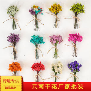 Handmade Dried Flowers Teacher's Day Dried Flowers Mini Bouquet Ins Immortal Flower Small Dried Flowers Cross-Border New Product
