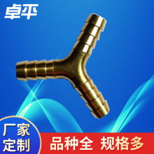 T�����挚��Y�͌���ȼ����^�����^�~�������^���Q�~���^