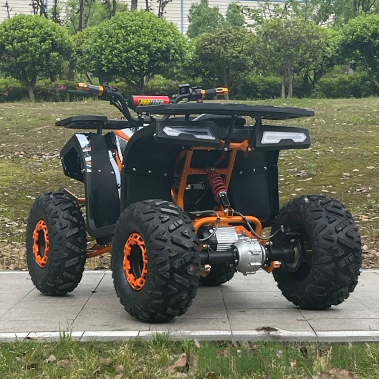 Factory Direct Sales 60V1000W Beach Car Electric Atv Electric All-Terrain Vehicle Electric Utv Electric Go-Kart