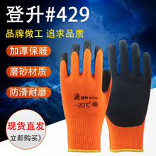登升-20°系列429七针毛圈拉绒保暖手套耐磨防滑冷库用手套