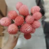 A bunch of light pink strawberry fruits, about 15 pieces