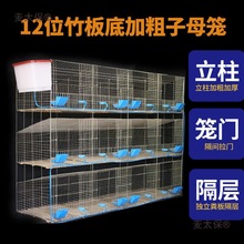 清粪兔子特大号笼子兔笼自动养殖场兔笼子母笼大号笼家用兔麦太保