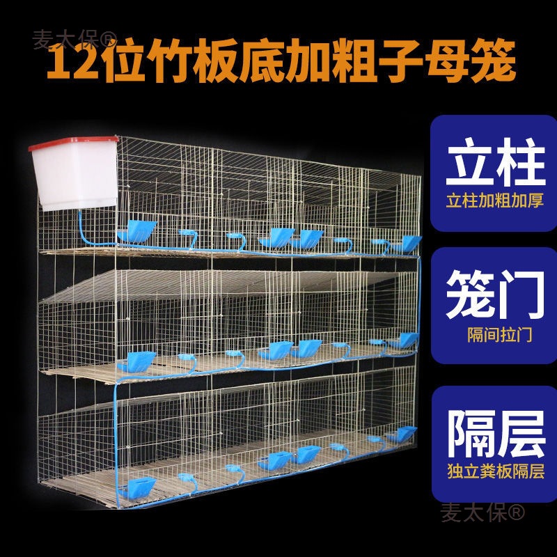 清粪兔子特大号笼子兔笼自动养殖场兔笼子母笼大号笼家用兔麦太保