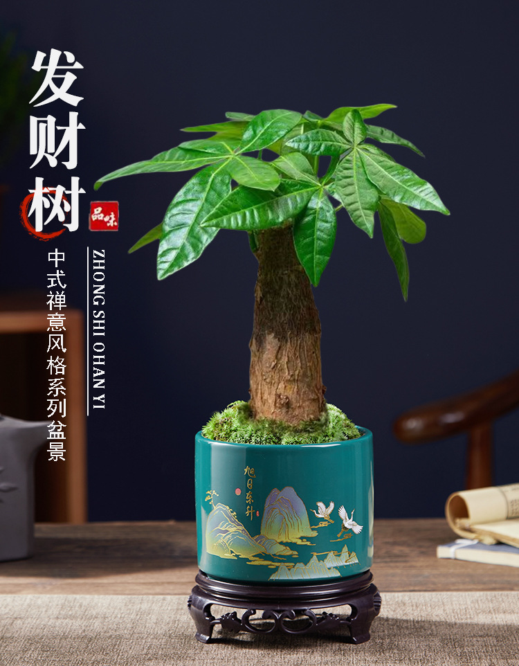 详情图