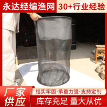 �W�������~���r�������O�o�ֹ��������ۯBˮϴ�O�W�O�߾W����