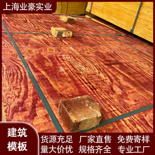 С�t���ȩ�z�潨�Bľģ����ľо��Ĥ��ľģ���z�ϰ���Ӱ���о