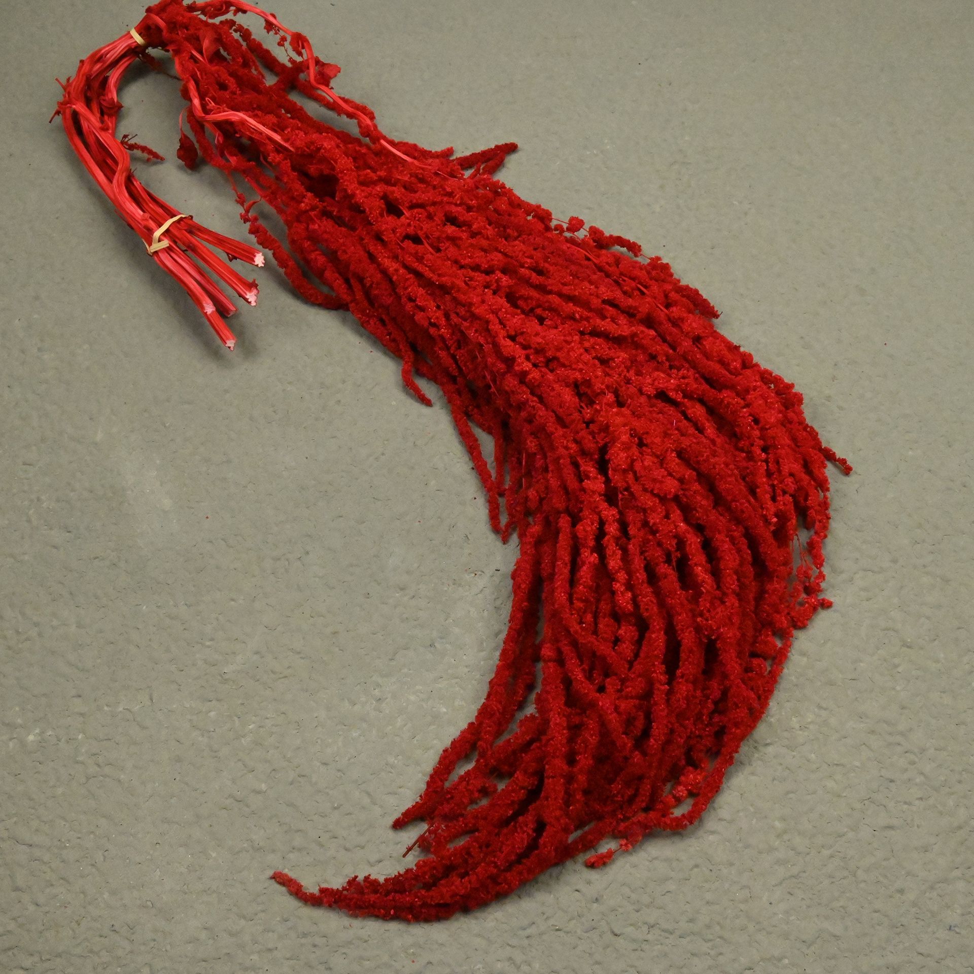 Flores fantasmas colgantes de arroz flor inmortal Juliet Amantes lágrimas colgantes de flores de decoración de bodas flores verdaderas