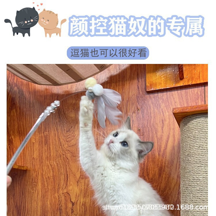 卸売りネット赤猫アンドロメダ逗猫棒2点セット長棒羽鋼線玩具耐咬帯鈴自ハイ|undefined