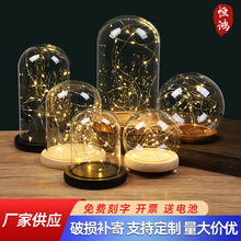海胆发光永生花干花玻璃罩底座带灯展示盒串灯防尘罩玻璃罩子