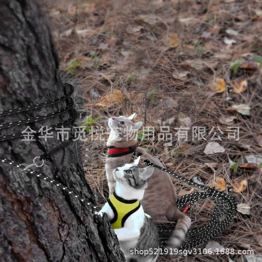 亚马逊爆款 大量现货 双扣加长猫牵引绳 庭院遛猫绳 户外夜间反光