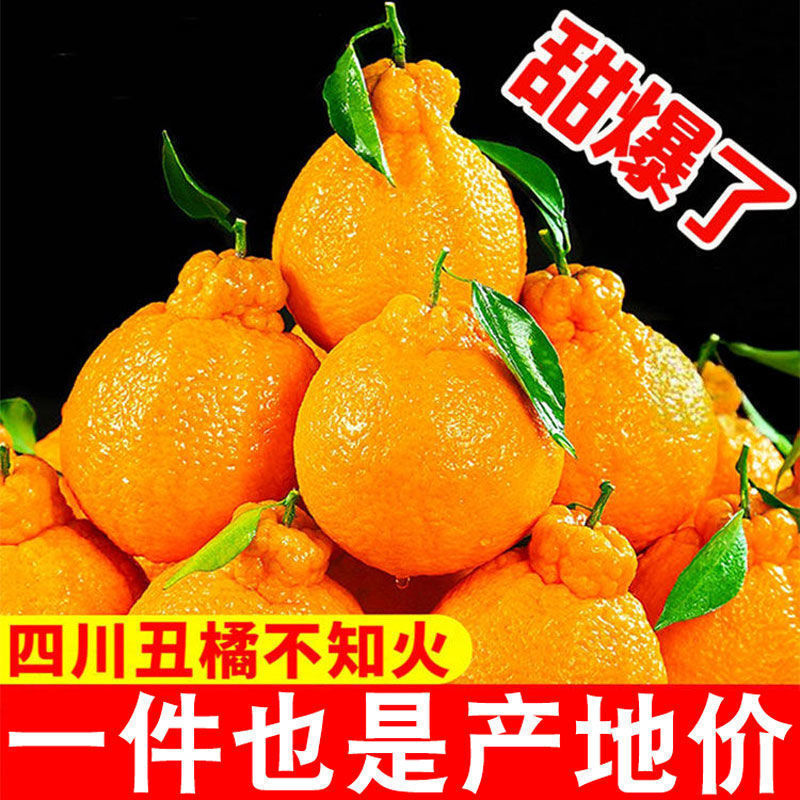 醜いオレンジ 四川みかん 不知火 フレッシュフルーツ オレンジ スーパースイートみかん フェイボルトみかん 卸売|undefined