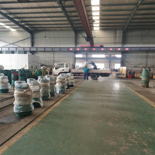 BQS300-110/2-185/N��ˮ�� �C�һ�w ����ʽ��ˮ ������ˮ��