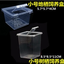 ���x��B�Ќ���֩�����w���� ���w�OӋ��Խ�z����ιʳ