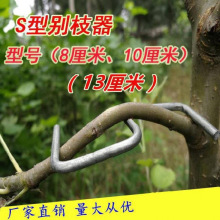 ������֦���e֦���F�z����s�h��֧��֦��֦�ۼ����������֦��֦