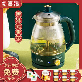 办公室安化黑茶煮茶器玻璃电茶壶全自动蒸汽小容量茶壶电热煮茶壶