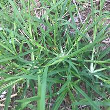 ���ݷN�� ţ��� Ұ�� �N�� ���Hק�o�¾G����ϲ��� �s��