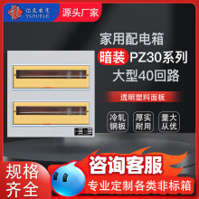 PZ30�������Ͱ��b40��·���ÿ��_�й��S���_�P�����҃������