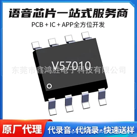 玩具配件;狗狗玩具;集成电路