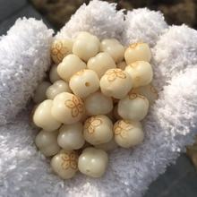 ̼�������̿������؈צ�����ִ��Ѫ{�����ؔ؈��������ֹ�