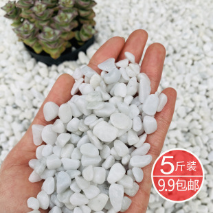 ��������ɫ�Z��ʯ981�����Ի��^���׶����ʯ��ͥԺ��ʯ