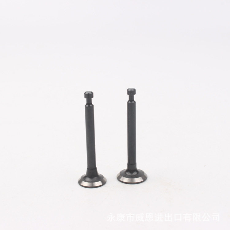 139-2气门（2个一对）罗宾款HS款通用
