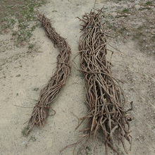 �F؛������Сɽ�ٗl�ݘ�֦�҃��b����ٗl��픷���ֲ������@��