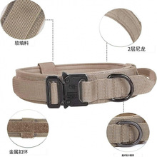 ���g���Ȧ �Y����������_����RȮ��ë�����CȮ�д���Ȯ�Ȧ