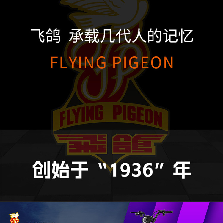 飞鸽小幻影详情_04