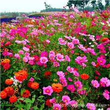 ˹ջN߲ʸɣNļ_׻҃ҰNͥԺ