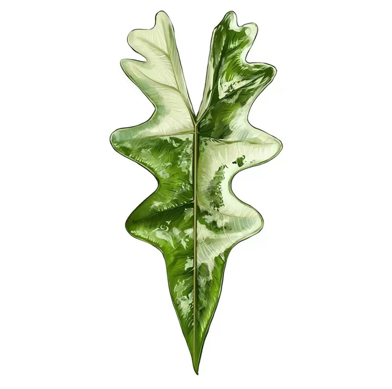植物の魔法】熱帯の珍しい植物のアイデアの緑の植物の冷蔵庫は緑の植物の装飾の植物のシリーズの冷蔵庫を貼って貼ります。|undefined