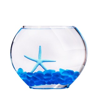Fish Tank Flat Glass Oval Flat Mouth Fish Tank Long Flat 2023 New Living Room Creative Desktop Small