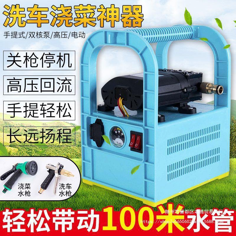 手提式电动浇菜洗车便携农用户外浇花喷雾器打药机充电抽水泵