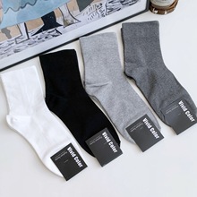 vividcolor¿mɫͲms̄ռʿsٴnml