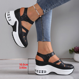 2026�ļ��¿��¸��A�^���Q��a�ɸ���ħ�g�N���^�U�՛�ЬŮ�F؛