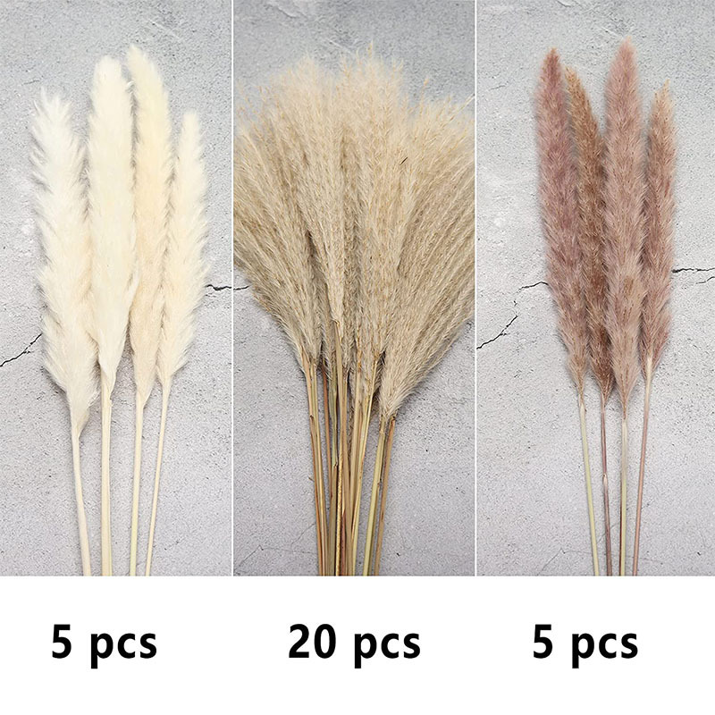 30 (박스 포장 포함)