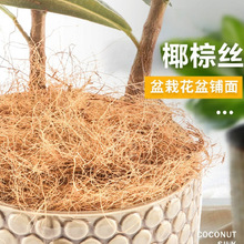 �@ˇҬ�z��滨�踲�w�������Ҭ�ؽz�����b�ֲ��N���ؙ������b