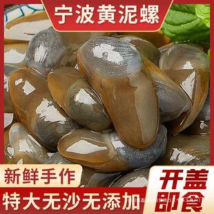 泥螺 8A特大黄泥螺 醉泥螺 醉螺 野生黄泥螺 镇店黄泥螺 5A黄泥螺-阿里巴巴
