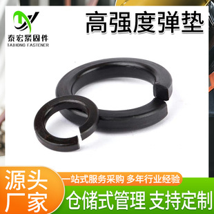 8.8ɉ|Ƭߏȏ|̼䓰lڏɉ|Ȧ_ډ|Ƭɉ|Ƭ