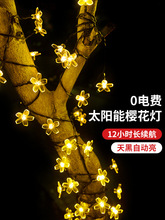 ܑ̫ͥԺ@ʟ̨҃С^eòb