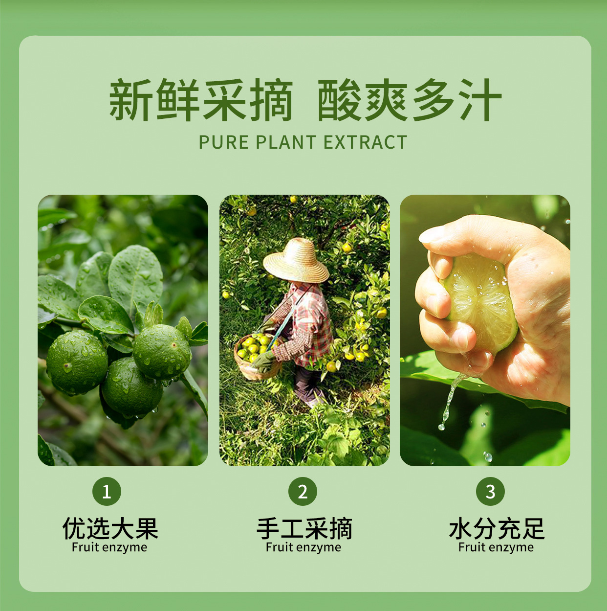 Ejiao Bazhen Paste (阿胶八珍膏) — Traditional Herbal Paste with Ejiao, Ginseng & Cinnamon key features
