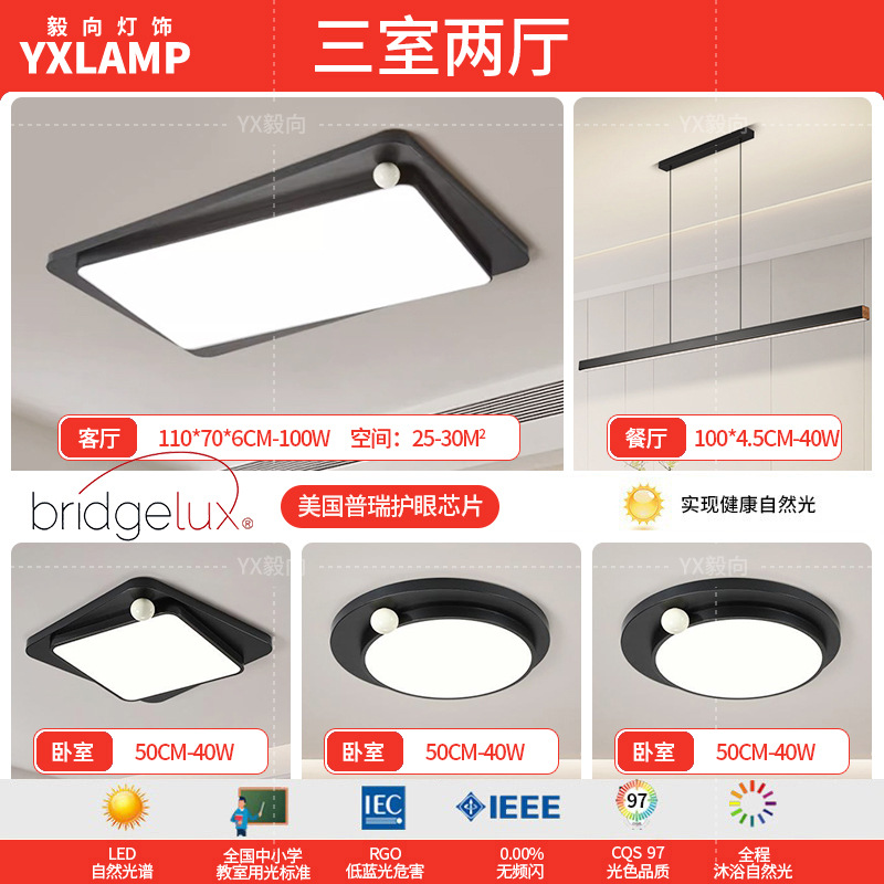 Luz de techo minimalista italiana sala de estar luz principal LED atmósfera creativa simple negro de alto nivel protección de ojos lámpara de dormitorio principal