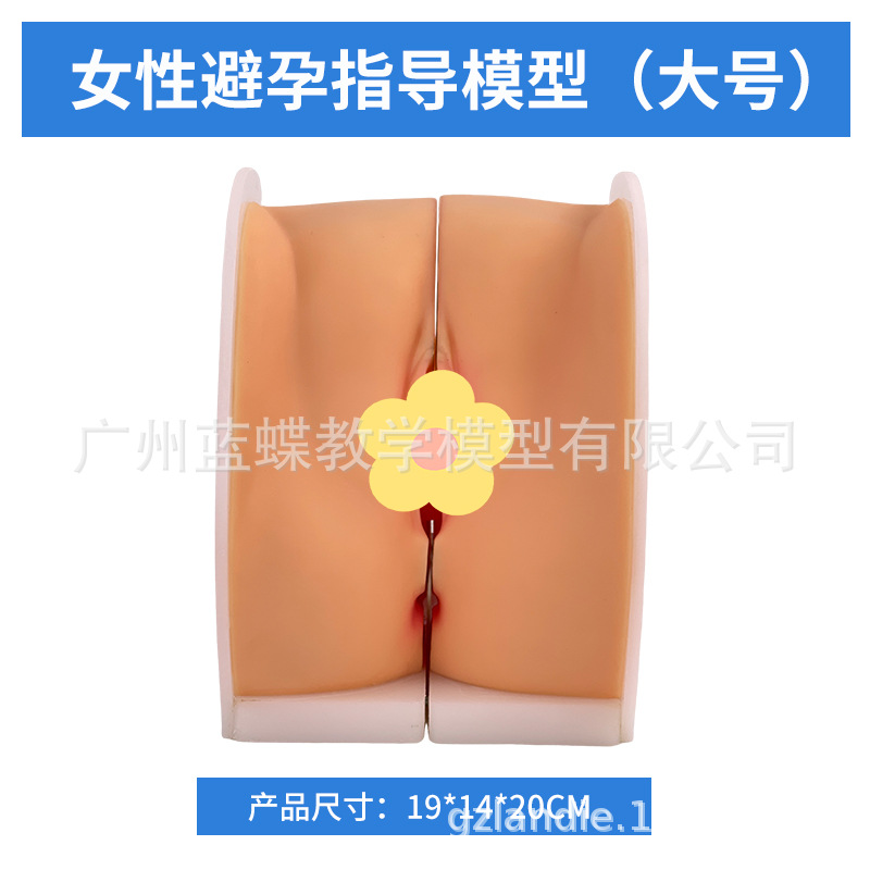 ��ѧŮ����ֳ�����ӹ��������ѳ� ����ָ��ģ�� �ƻ��������Ƽ��