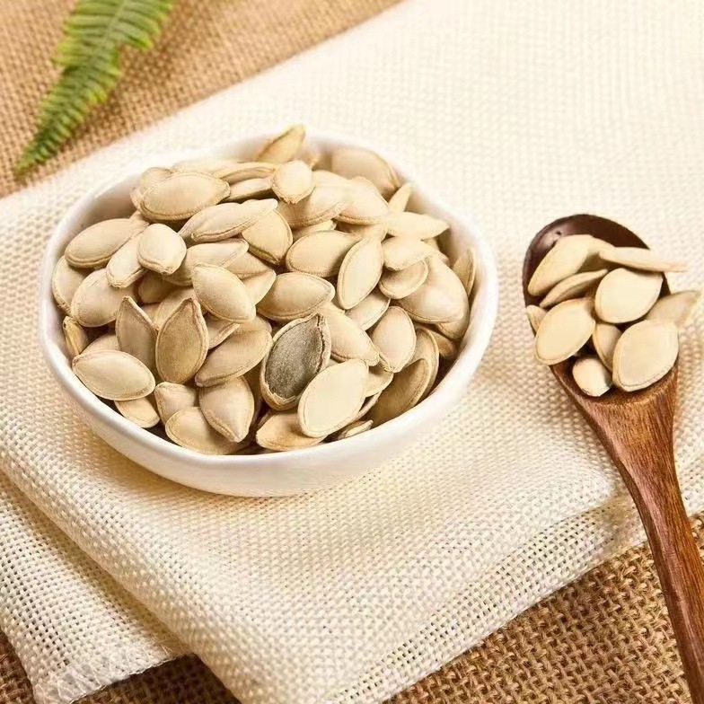 微信图片_20230325151848