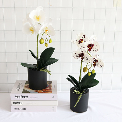 仿真蝴蝶兰盆栽 手感仿真花家居客厅装饰